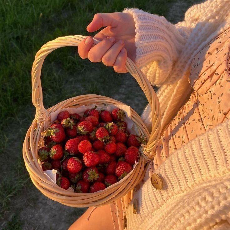 Wholesome Picks: Orchard's Rustic Delight Collection